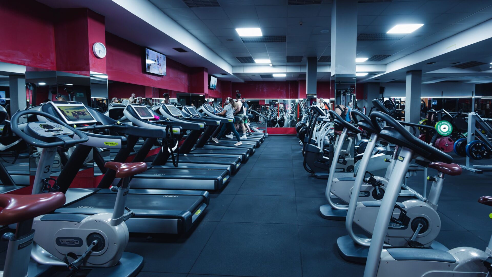 5G2A5617-Mejorado-NR